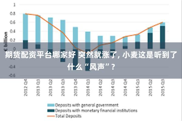 期货配资平台哪家好 突然就涨了, 小麦这是听到了什么“风声”?