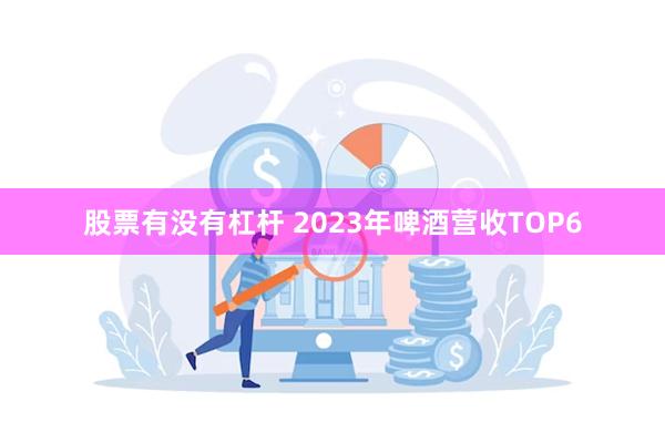 股票有没有杠杆 2023年啤酒营收TOP6