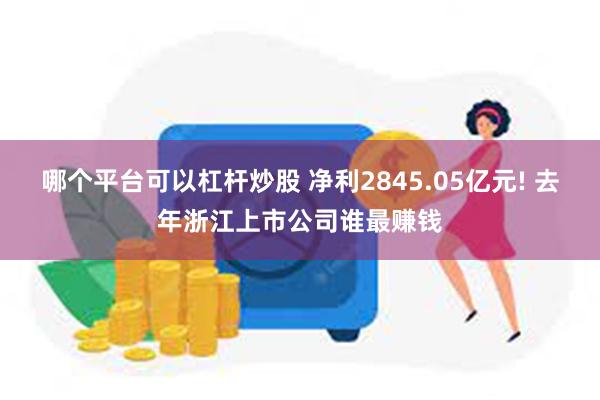 哪个平台可以杠杆炒股 净利2845.05亿元! 去年浙江上市公司谁最赚钱