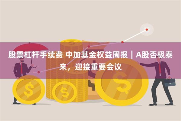 股票杠杆手续费 中加基金权益周报︱A股否极泰来，迎接重要会议