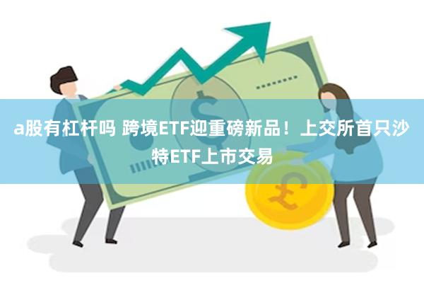 a股有杠杆吗 跨境ETF迎重磅新品！上交所首只沙特ETF上市交易