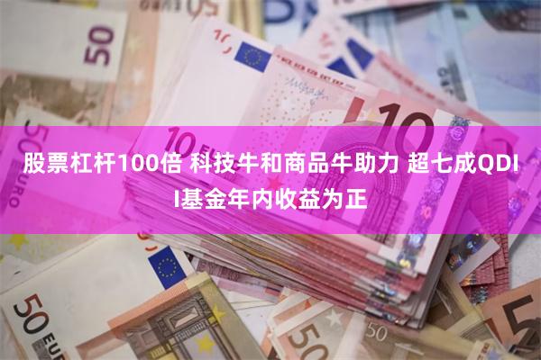 股票杠杆100倍 科技牛和商品牛助力 超七成QDII基金年内收益为正