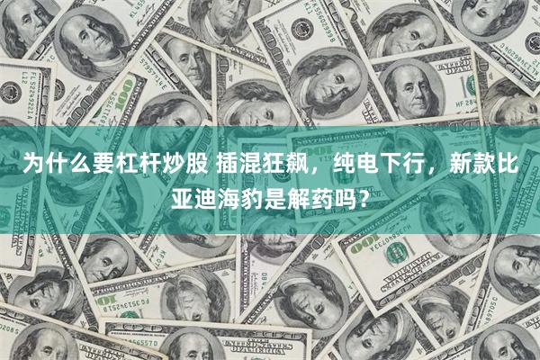 为什么要杠杆炒股 插混狂飙，纯电下行，新款比亚迪海豹是解药吗？