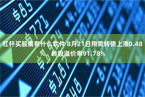 杠杆买股票有什么软件 8月21日翔鹭转债上涨0.48%，转股溢价率91.78%