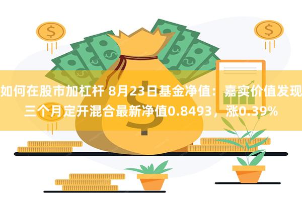 如何在股市加杠杆 8月23日基金净值：嘉实价值发现三个月定开混合最新净值0.8493，涨0.39%