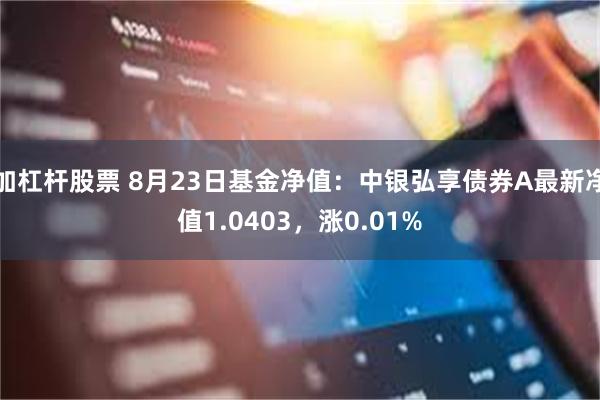 加杠杆股票 8月23日基金净值：中银弘享债券A最新净值1.0403，涨0.01%