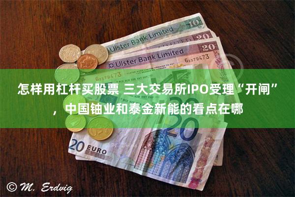 怎样用杠杆买股票 三大交易所IPO受理“开闸”，中国铀业和泰金新能的看点在哪