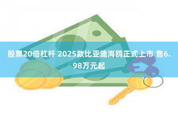 股票20倍杠杆 2025款比亚迪海鸥正式上市 售6.98万元起