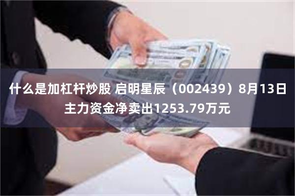 什么是加杠杆炒股 启明星辰（002439）8月13日主力资金净卖出1253.79万元