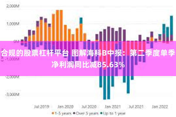 合规的股票杠杆平台 图解海科B中报：第二季度单季净利润同比减85.63%